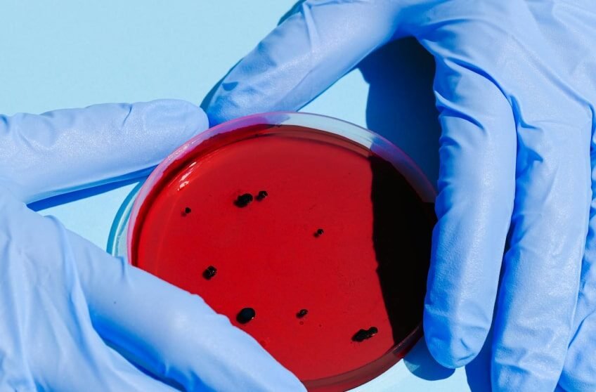 portfolio10-min portfolio10-min